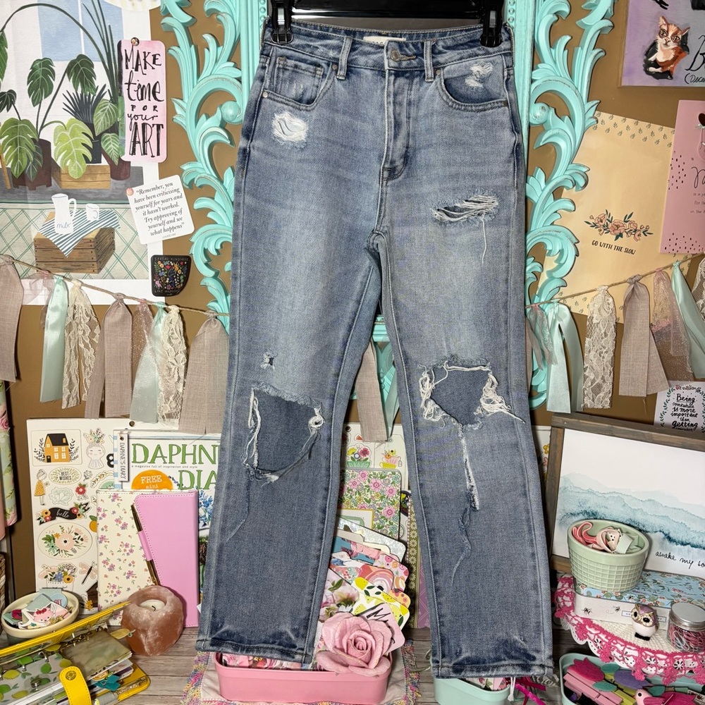 Pacsun Denim Mom Jean Sz.23 Distressed Four Button Front Grunge Destroyed Skater